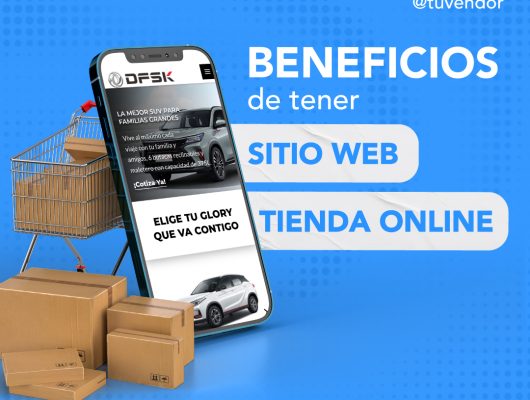 sitio web